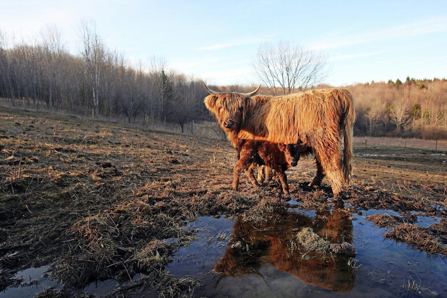 farm photos.jpg